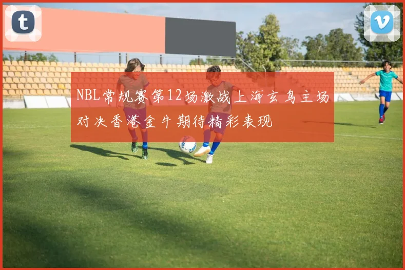 NBL常规赛第12场激战上海玄鸟主场对决香港金牛期待精彩表现