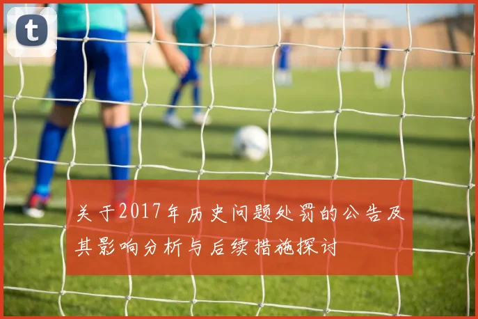 关于2017年历史问题处罚的公告及其影响分析与后续措施探讨