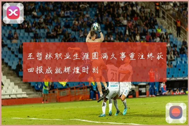 王哲林职业生涯圆满久事重注终获回报成就辉煌时刻